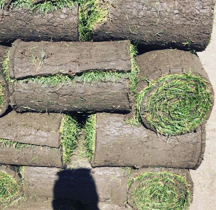 Gazon rulou și sistem de irigare