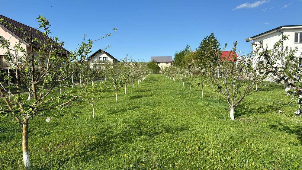 Teren intravilan vanzare strada Traian Popovici , burdujeni Suceava