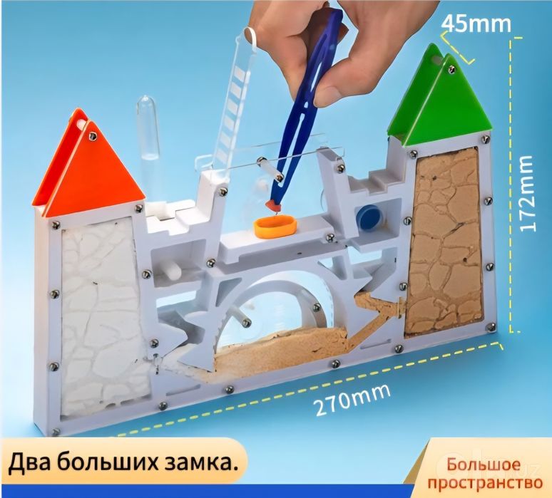 Новая Муравьиная  ферма