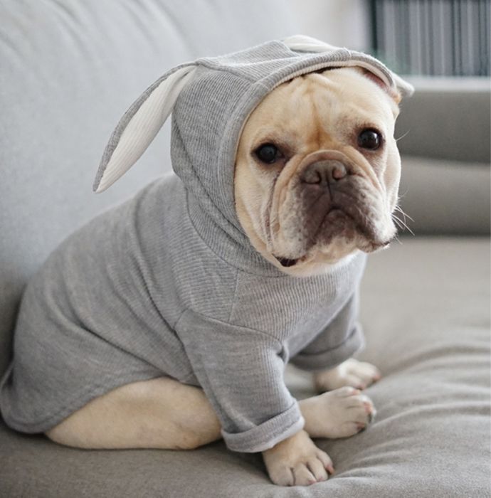 Одежда для собак и кошек!