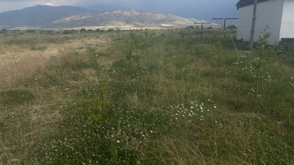 Срочно продается фазенда