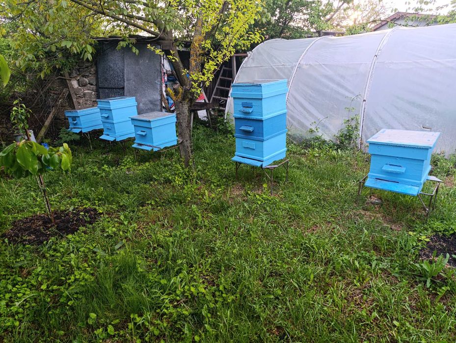 Продавам кошери ДБ  10 и 12 рамкови
