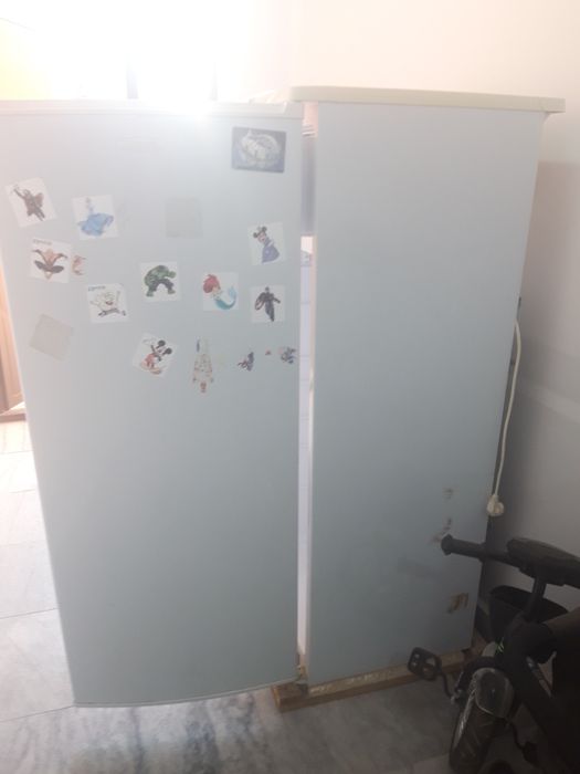Xaladilnik Бурюса bo'yi 1.5 metr