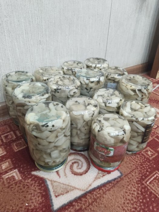 Грибы маринованные