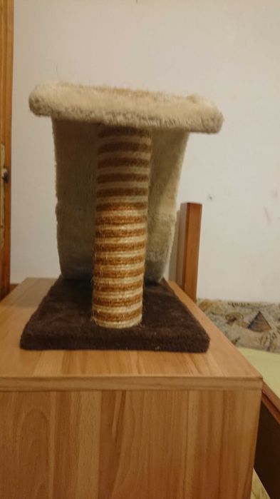 Ansamblu joaca pisici cu accesorii