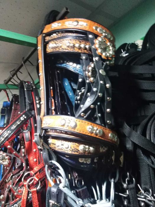 Узда парадная для лошади