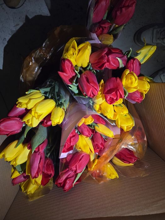 Продаём цветы пионовидные, голландские