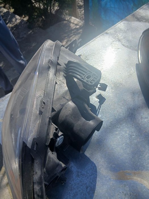 Gentra amerikanka fara