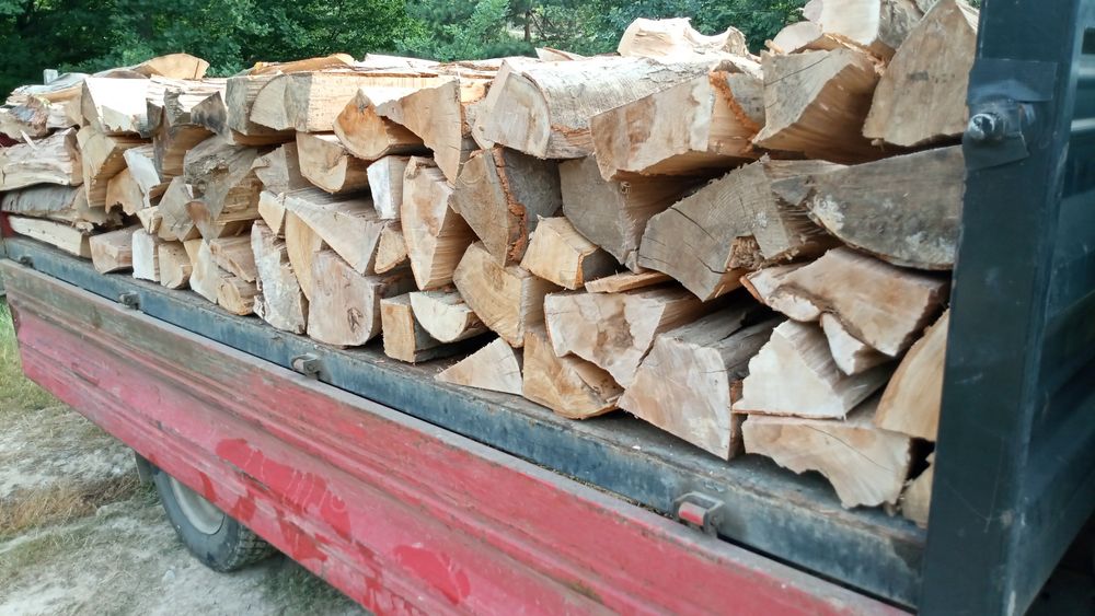 Lemn de fag pentru foc