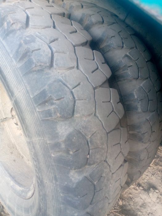 Газ 53 бартавой 37 милйон ками бор