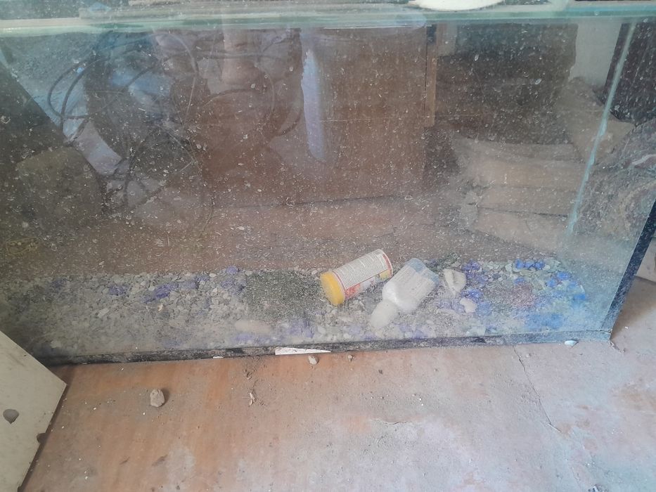 Аквариум  20.000