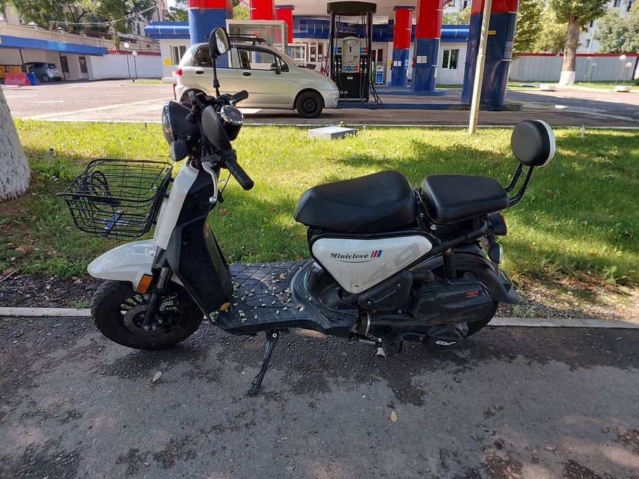 Moped Miniclove 49m3