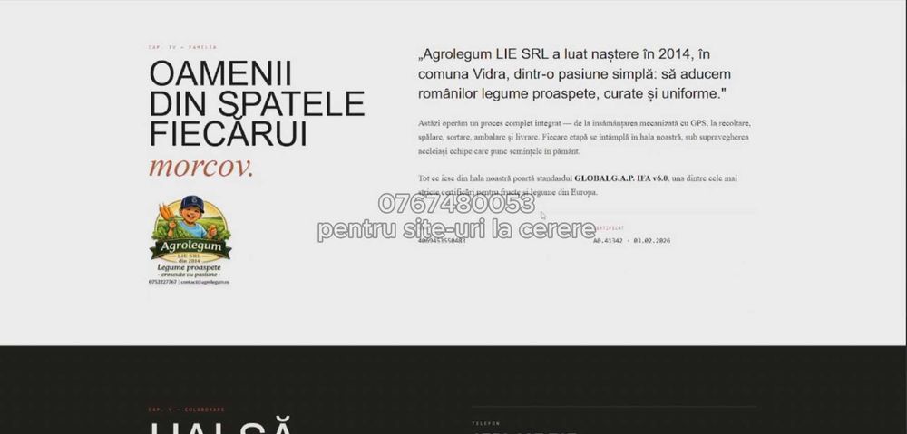 Creare site-uri moderne pentru firme + hosting + domeniu + publicare online (PREȚ FOARTE ACCESIBIL]