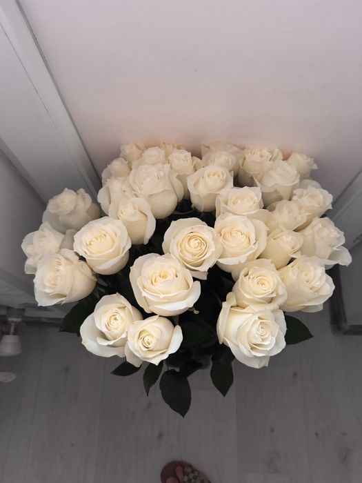 Белые розы, метровые, цветы