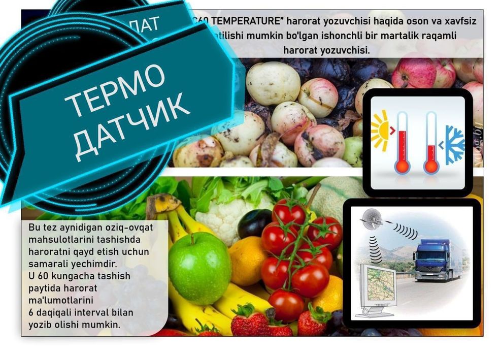 ТЕРМОДАТЧИК логер для ОВОЩЕЙ И ФРУКТОВ по евро стандартам