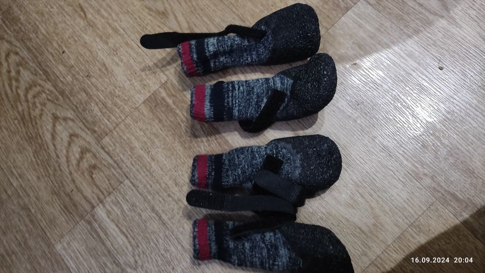 Носочки для собаки