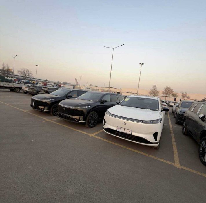 dongfeng 008max bolib tolash