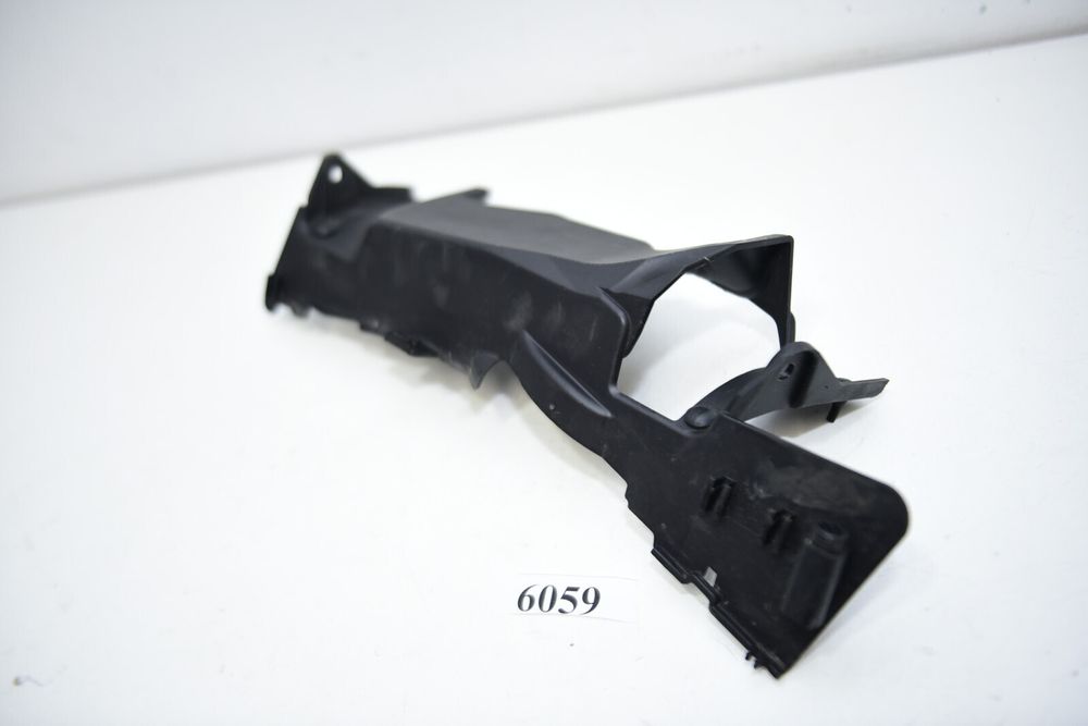 Protecție de evacuare  4663 8403878 BMW F900R 46638403878