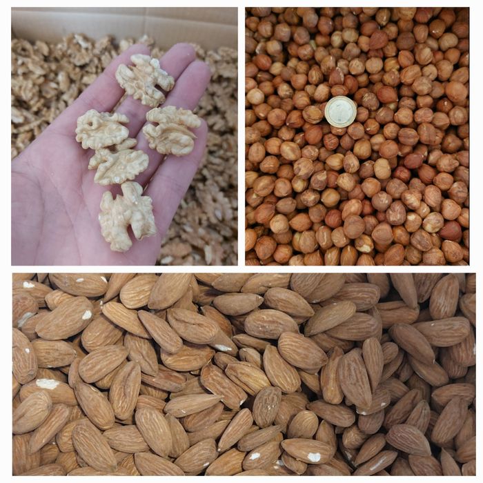 Бадем произход България