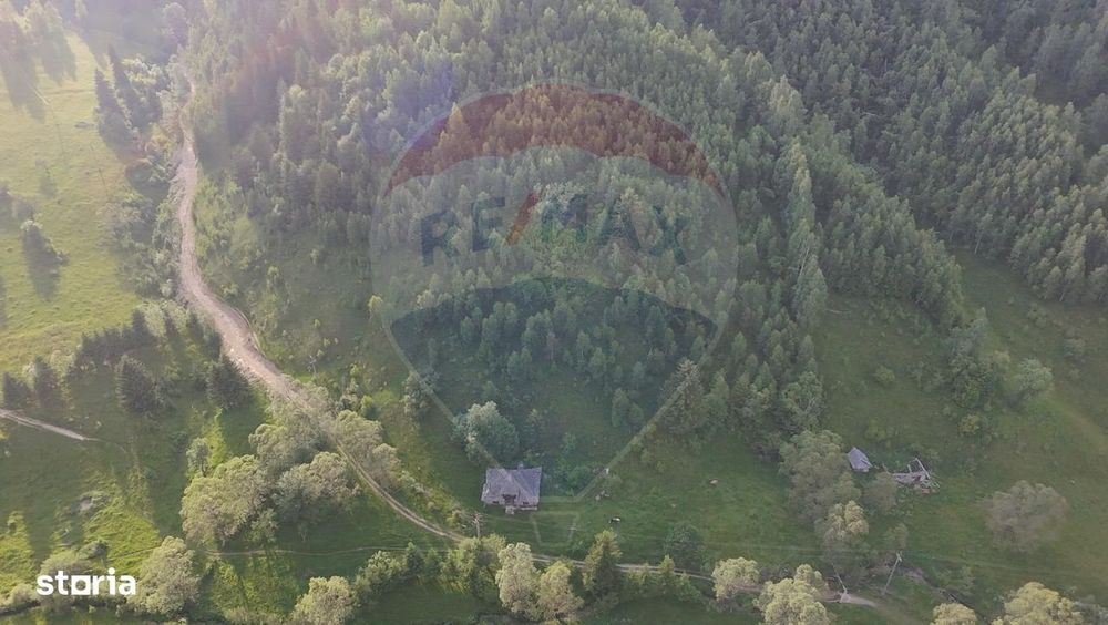 Teren 38,704mp Sirnea | 2.000 mp Intravilan | 36,704 Extravilan