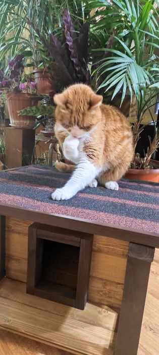 Къщички за домашни любимци