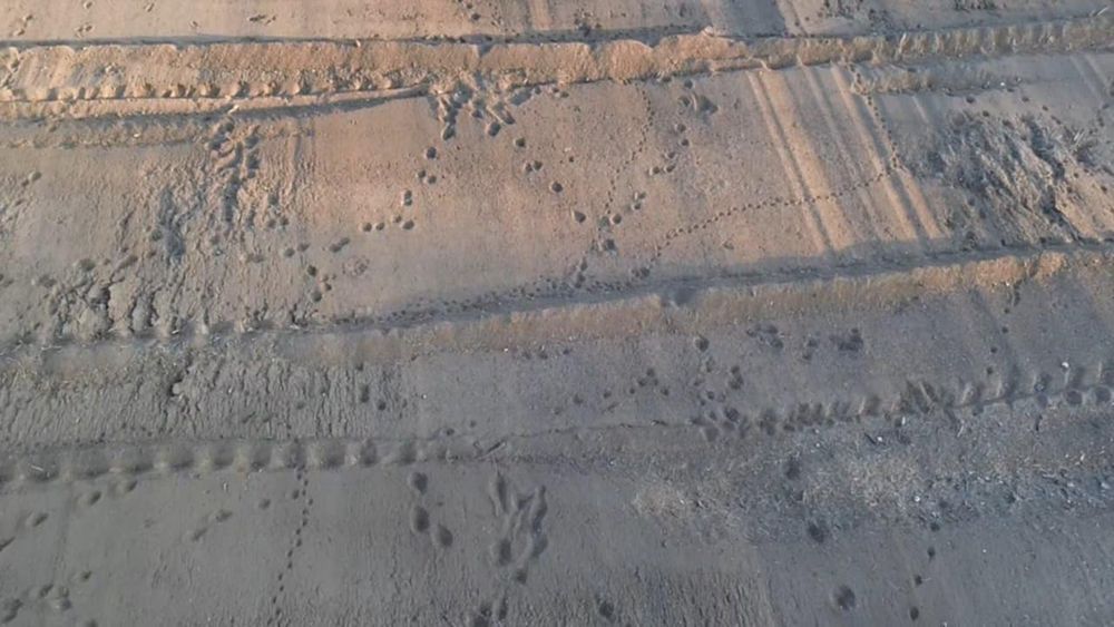 Продава се Парцел в с. Айдемир, Област Силистра - 1311 кв.м за 18 €/кв.м - Снимка #4