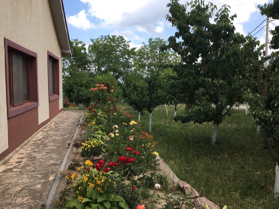 Vand casă spațioasă cu teren generos Sat Mineri, Somova, jud. Tulcea