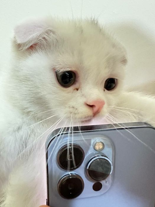 Звоните всё обсудим