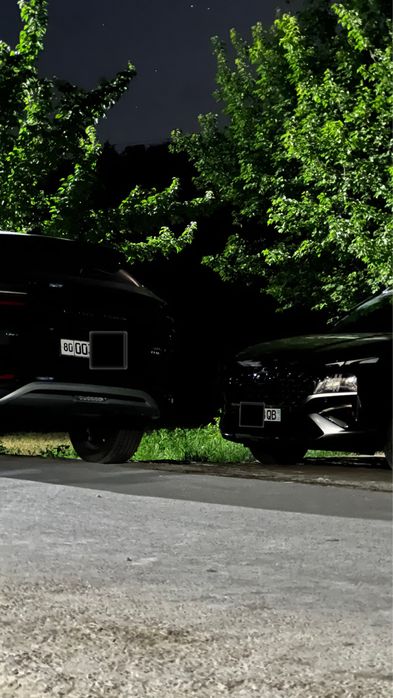 tuy va marosimlar uchun kartej xizmati