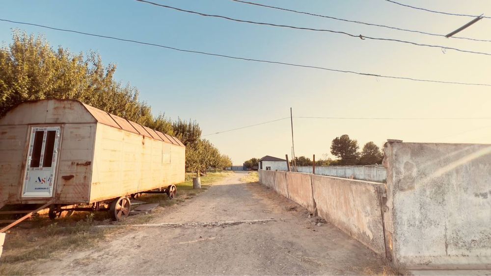 Ferma sotiladi 30 tonnalik marazelnik 10 000 ta broler boqishga joy bo