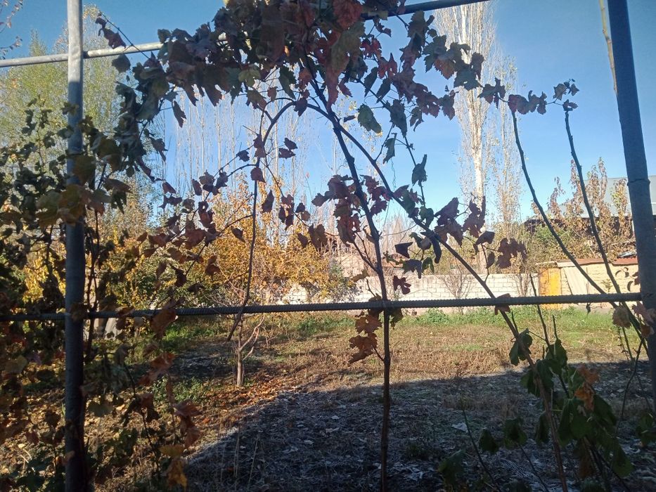 Продается дом - Айдар алы