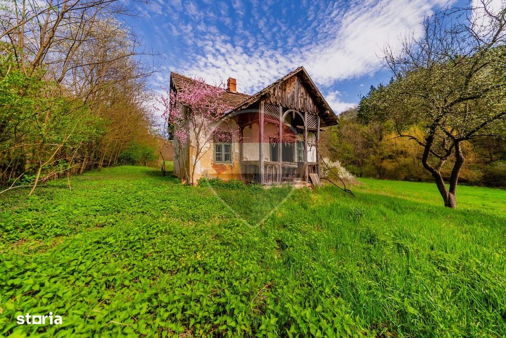 Casă de vacanta intr-o locatie de vis de vanzare in Carand,Romania