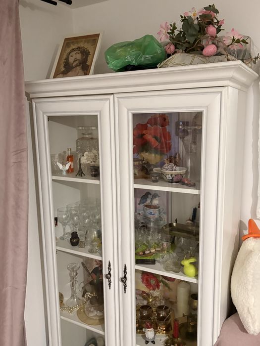 Vitrina alba eleganta