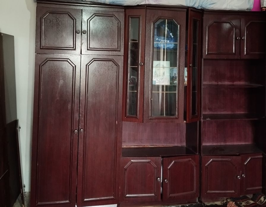 Stenka yangiday zoʻr