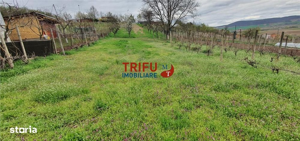 Teren de vanzare zona Micesti 1436mp