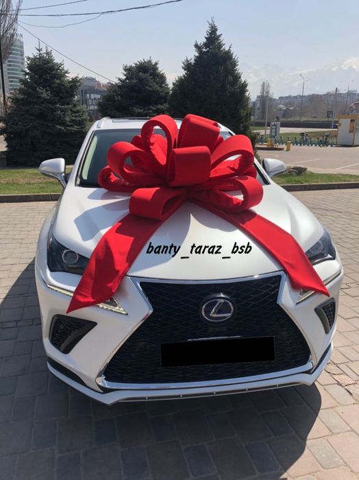 банты на машину тараз