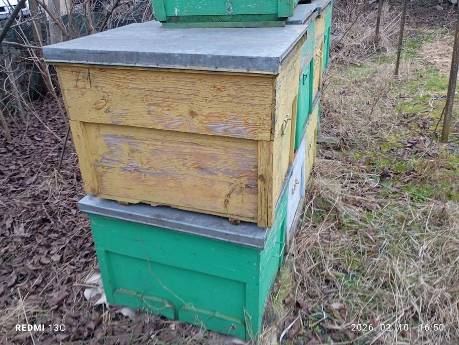 Lazi de Albine de vanzare