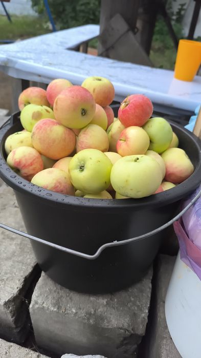 Продам Дачу Сад Здоровье