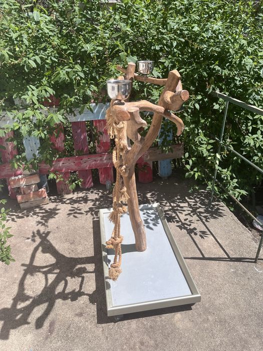 Кацалка за птици,папагал