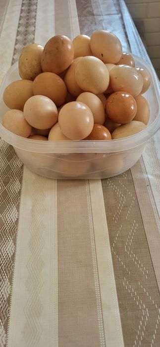 Домашние курение яицо