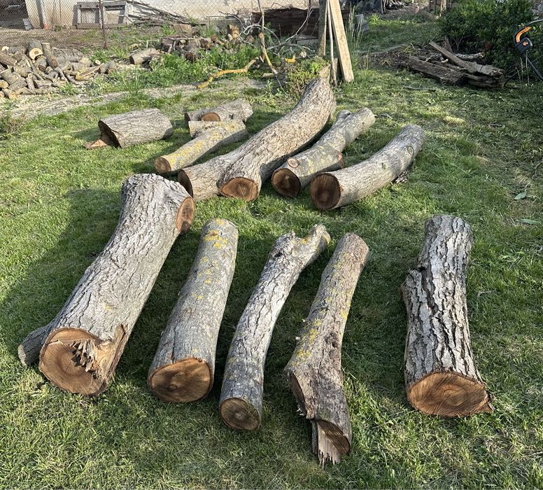 Нарязан орех може да се използва за изработка на мебели