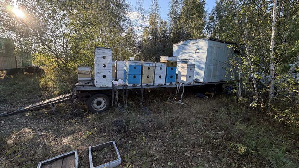 Продам прицеп-Пасеку с будкой и уликами