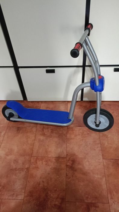 Trotineta robusta Kaplan