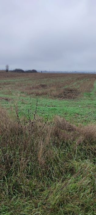 Vand teren agricol in  zona halta zlatarei spre voicesti 4000mp