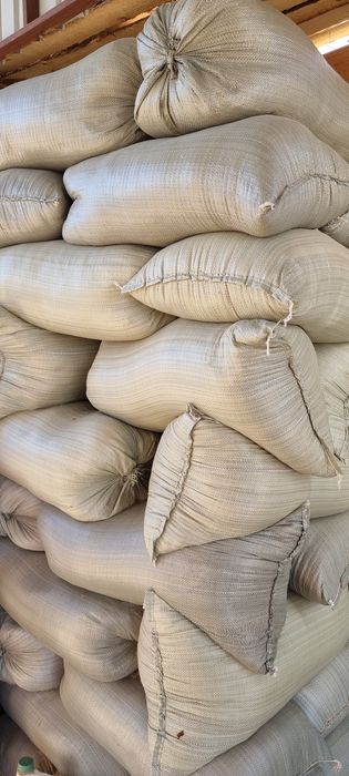 Апилка аапилкааааа