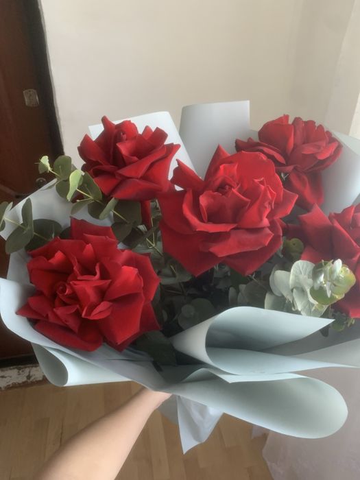 Цветы розы , срочно продаются, подарили