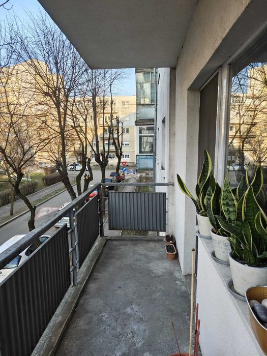 Apartament 4 camere de vanzare Satu Mare , Micro 16