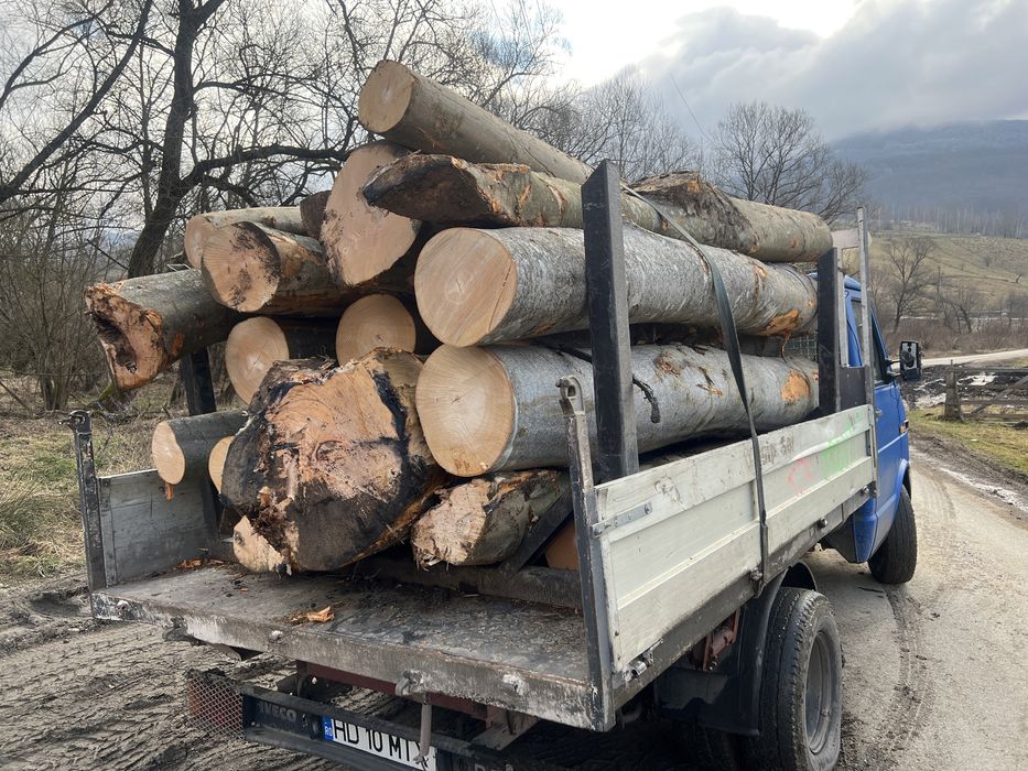 Lemn de foc  DOAR FAG 3,6 cub