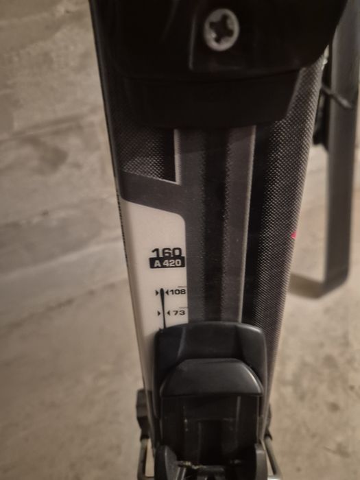 Горные лыжи Fischer