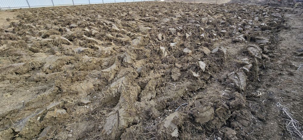 Arat, frezat, pregătire teren pt. insamantat sau cultivat